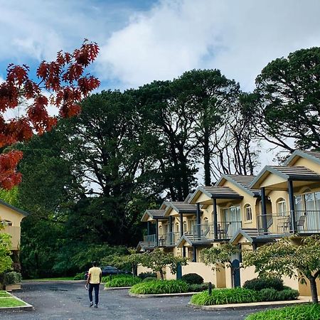 Falls Mountain Retreat Blue Mountains Wentworth Falls Eksteriør billede