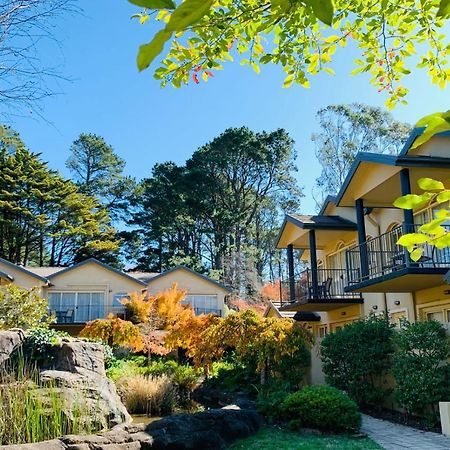 Falls Mountain Retreat Blue Mountains Wentworth Falls Eksteriør billede