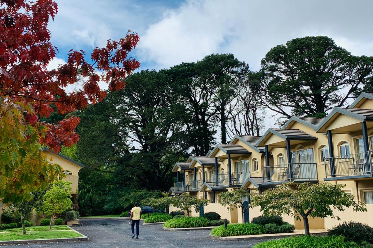 Falls Mountain Retreat Blue Mountains Wentworth Falls Eksteriør billede